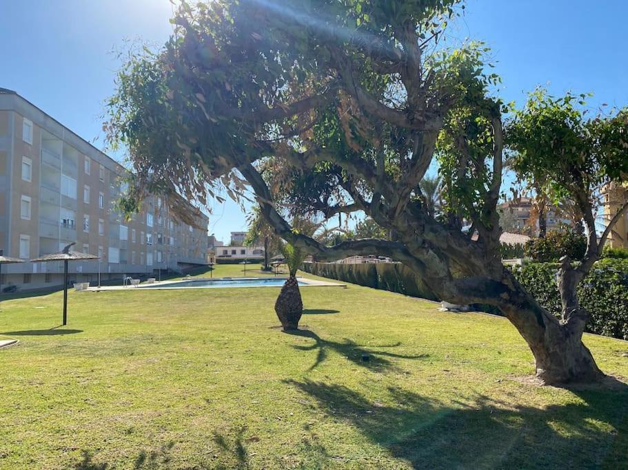 Nautilus Hygge Home Torrevieja Eksteriør bilde
